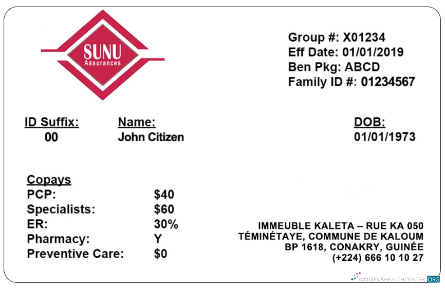 Angola LNG proof of address utility bill template in Word and PDF format